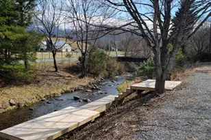 5865 Gooney Manor Loop, Bentonville, VA 22610 - Photo 4