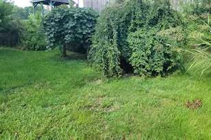 1321 Woodside Ave, Front Royal, VA 22630 - Photo 28