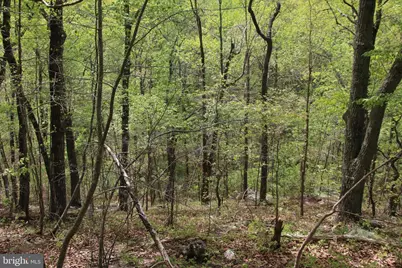 Drummer Hill Road, Front Royal, VA 22630 - Photo 12