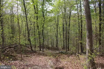 Drummer Hill Road, Front Royal, VA 22630 - Photo 6