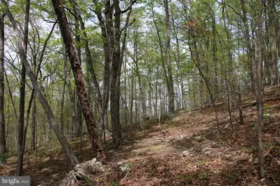 Drummer Hill Road, Front Royal, VA 22630 - Photo 12
