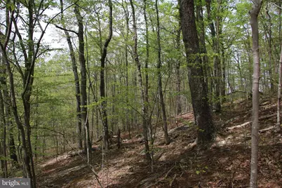 Drummer Hill Road, Front Royal, VA 22630 - Photo 16