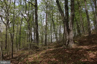 Drummer Hill Road, Front Royal, VA 22630 - Photo 8