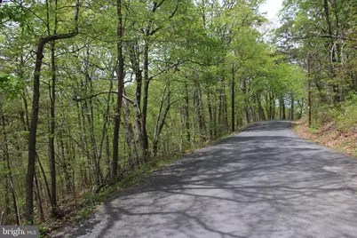 Drummer Hill Road, Front Royal, VA 22630 - Photo 10