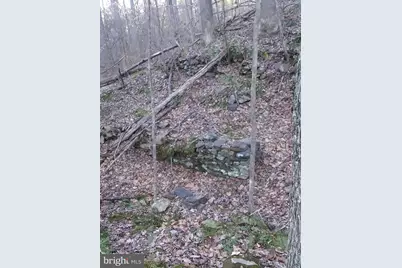 Drummer Hill Road, Front Royal, VA 22630 - Photo 2