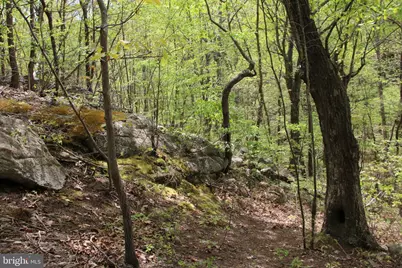 Drummer Hill Road, Front Royal, VA 22630 - Photo 14