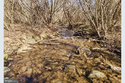 Wapping Farm #Lot 6 Road, Front Royal, VA 22630 - Photo 8