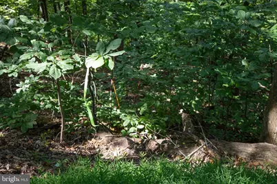 Lot 26 Massanutten Mountain Drive, Front Royal, VA 22630 - Photo 16