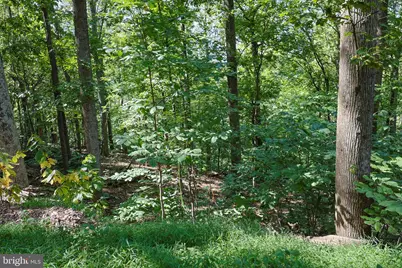 Lot 26 Massanutten Mountain Drive, Front Royal, VA 22630 - Photo 20