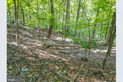 Lot 26 Massanutten Mountain Drive, Front Royal, VA 22630 - Photo 6