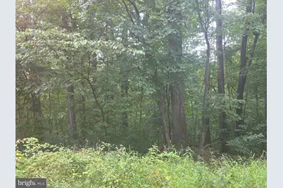 Cherrywood Road, Front Royal, VA 22630 - Photo 1