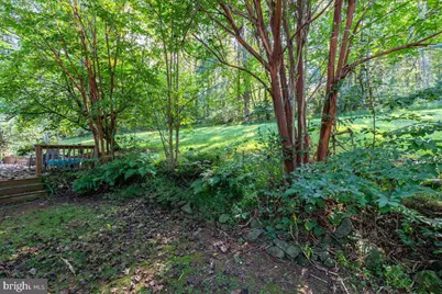 126 Locust Tree Lane, Front Royal, VA 22630 - Photo 34