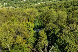 126 Locust Tree Ln, Front Royal, VA 22630 - Photo 42