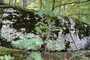 236 Piedmont Orchard Rd, Linden, VA 22642 - Photo 6