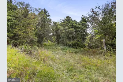 Andrews Road, Strasburg, VA 22657 - Photo 4