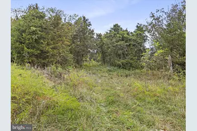 Andrews Road, Strasburg, VA 22657 - Photo 2