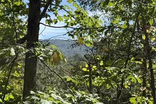 Lot 59 Old Oregon Rd, Front Royal, VA 22630 - Photo 6