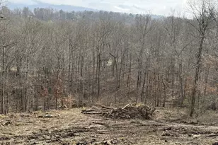 Lot 59 Old Oregon Rd, Front Royal, VA 22630 - Photo 2