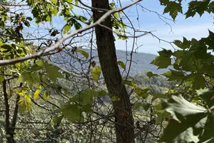 Lot 59 Old Oregon Rd, Front Royal, VA 22630 - Photo 2