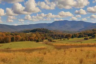 Lot 63B Buck Mountain Rd, Bentonville, VA 22610 - Photo 1