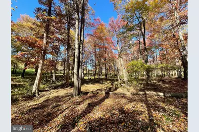 Lot 63B Buck Mountain Rd, Bentonville, VA 22610 - Photo 52