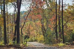 0 Gooney Manor Loop, Bentonville, VA 22610 - Photo 16