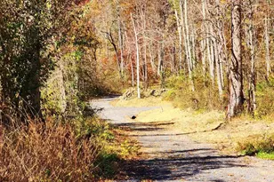 0 Gooney Manor Loop, Bentonville, VA 22610 - Photo 14