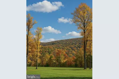 1 Lee Drive, Linden, VA 22642 - Photo 4