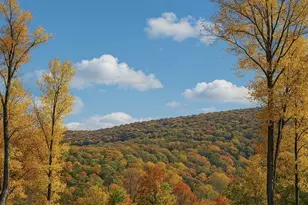 1 Lee Dr, Linden, VA 22642 - Photo 4