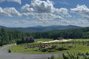 1 Lee Dr, Linden, VA 22642 - Photo 48