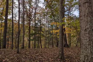 181 Brook View Rd, Front Royal, VA 22630 - Photo 46