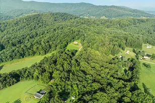 472 Wesley Ln, Bentonville, VA 22610 - Photo 50