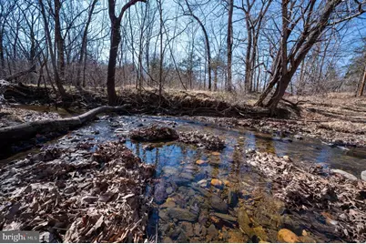 1778 T Bird Drive, Front Royal, VA 22630 - Photo 16