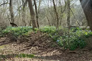 1778 T-Bird Dr, Front Royal, VA 22630 - Photo 16