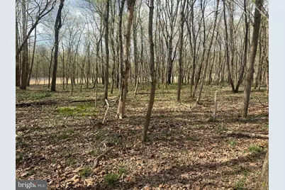 1778 T Bird Drive, Front Royal, VA 22630 - Photo 24