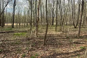 1778 T-Bird Dr, Front Royal, VA 22630 - Photo 24