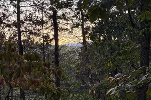 River Ridge Dr, Middletown, VA 22645 - Photo 36