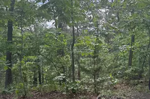 River Ridge Dr, Middletown, VA 22645 - Photo 26