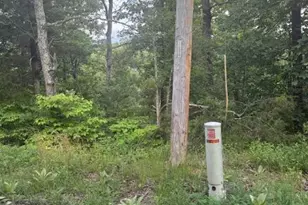 River Ridge Dr, Middletown, VA 22645 - Photo 22