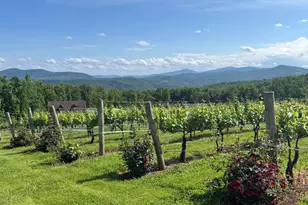 44 Markham Pl, Front Royal, VA 22630 - Photo 40