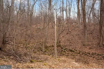 Lot 22 Hickory Tree Road, Front Royal, VA 22630 - Photo 58