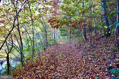 88 Pickford Court, Front Royal, VA 22630 - Photo 44