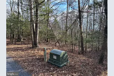 Lot U Twin Oaks Drive, Bentonville, VA 22610 - Photo 4