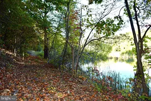 1200 Old Oak Ln, Front Royal, VA 22630 - Photo 44