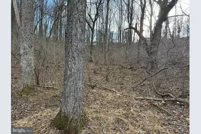 Lot 85A Oriole Court, Front Royal, VA 22630 - Photo 2