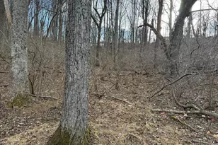 Lot 85A Oriole Ct, Front Royal, VA 22630 - Photo 2