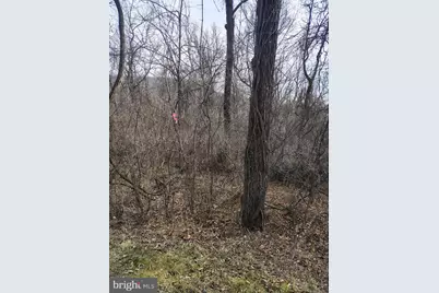 Summit Point Drive, Front Royal, VA 22630 - Photo 2