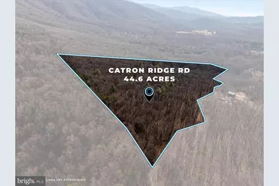Catron Ridge Road, Bentonville, VA 22610 - Photo 18
