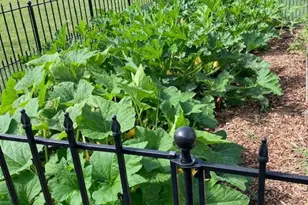 422 Milldale Valley Dr, Front Royal, VA 22630 - Photo 66