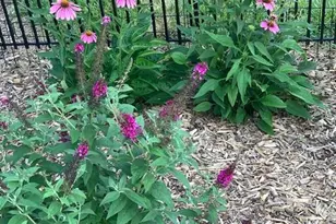 422 Milldale Valley Dr, Front Royal, VA 22630 - Photo 68